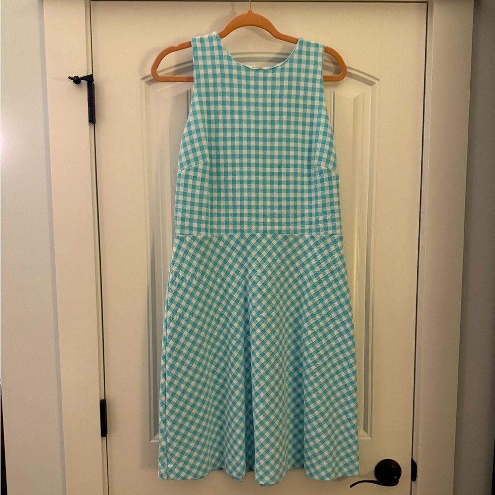 Ann Taylor Blue Gingham Dress (Size 10)